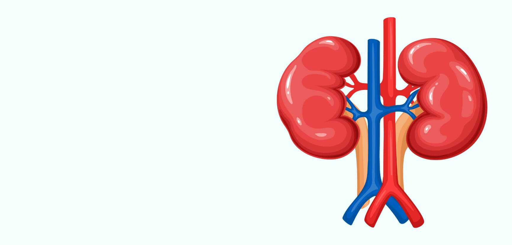 Kidney Care