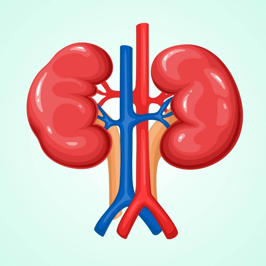 Gillstone Sachet Gillstone Kidney Stone Removal Sachet 10GM