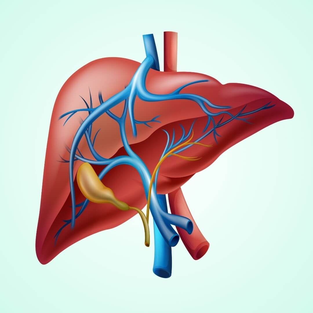 LiVMC G Liver Care Syrup 200ML